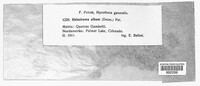 Image Associated With the Occurence